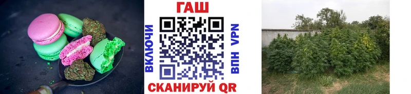 продажа наркотиков  Ленинск-Кузнецкий  Cannafood конопля 