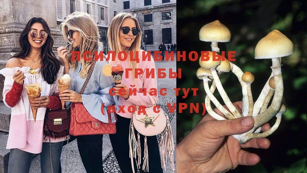 амф Балахна