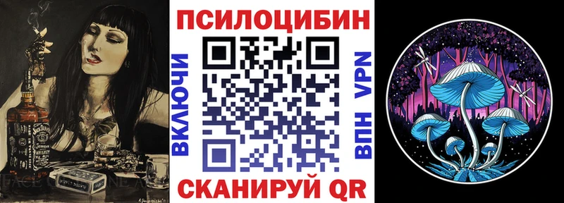 Псилоцибиновые грибы мицелий  продажа наркотиков  мориарти телеграм  Ленинск-Кузнецкий 